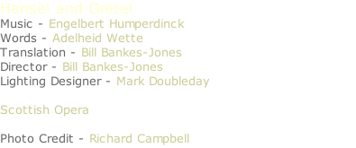 Hansel and Gretel Music - Engelbert Humperdinck Words - Adelheid Wette Translation - Bill Bankes-Jones Director - Bill Bankes-Jones Lighting Designer - Mark Doubleday  Scottish Opera  Photo Credit - Richard Campbell